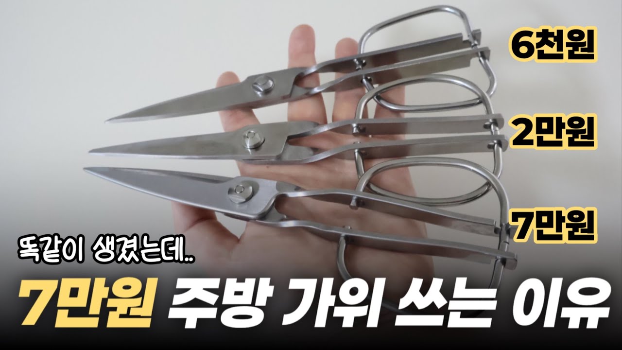 스테인리스 분리형 가위 비교 리뷰 | 토리베 가위, 잘라 가위