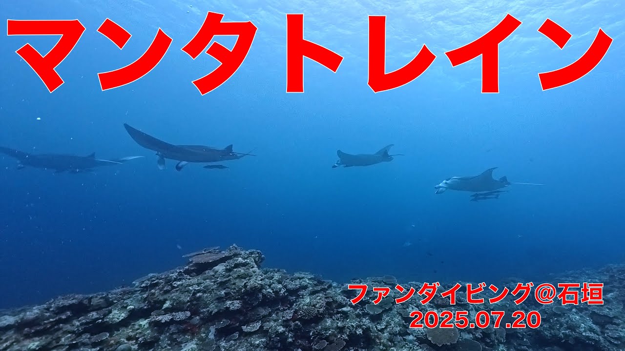 ファンダイビング＠石垣（沖縄：石垣市） ダイブNo.291、292、293　4K