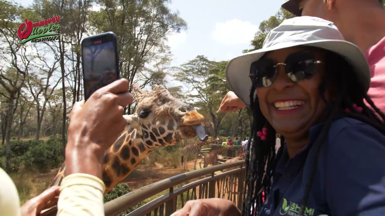 International Wambugu Apple Farmers out and about at the Nairobi National Park.
