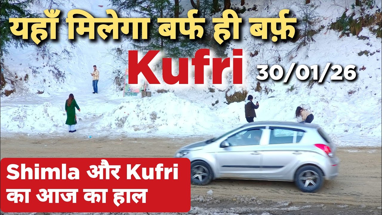 आज का हाल Shimla और Kufri का | Shimla Kufri Latest Update Video #Shimlakufrisnowfall #shimla