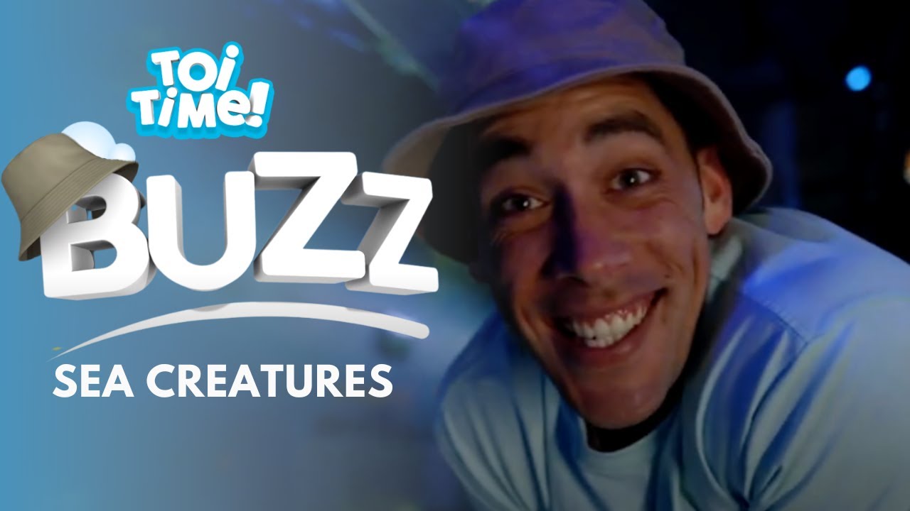 Toi Time | Buzz's Adventures | Sea Creatures