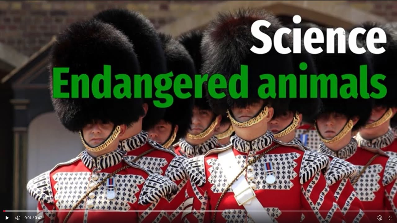 5.6 Endangered animals. Part 1