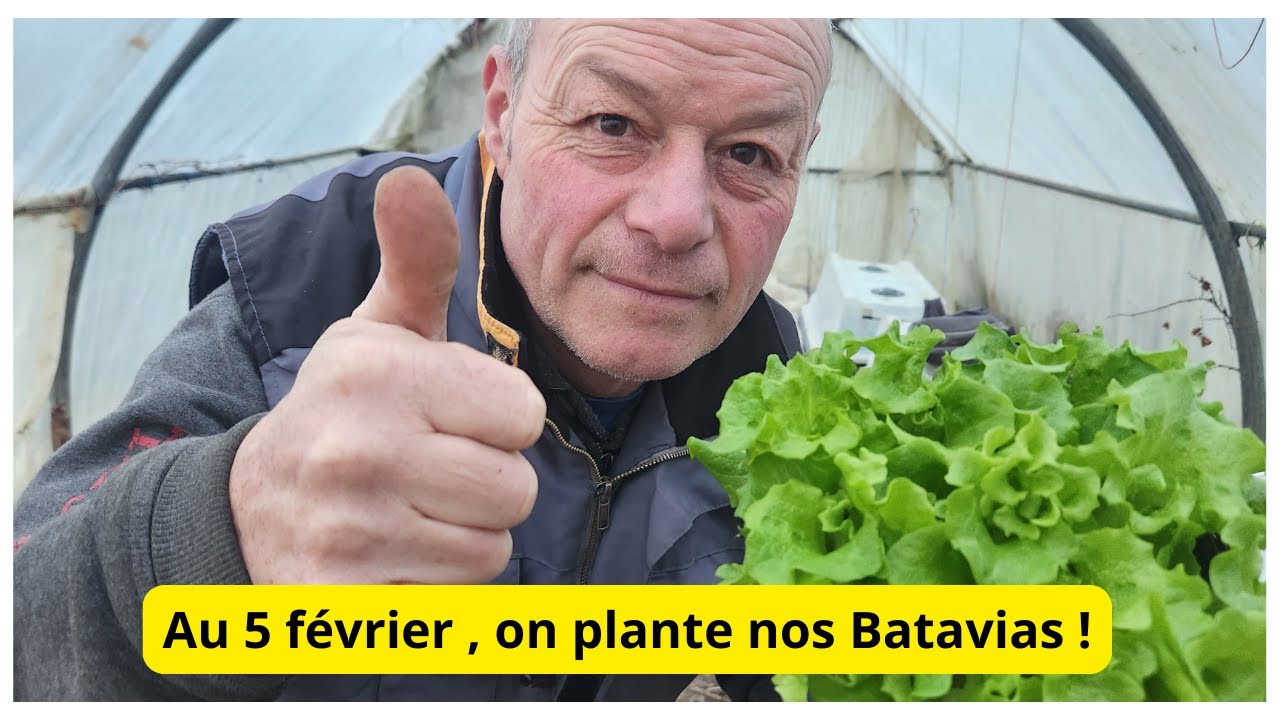le live 5 fevrier je plante mes Batavias  !