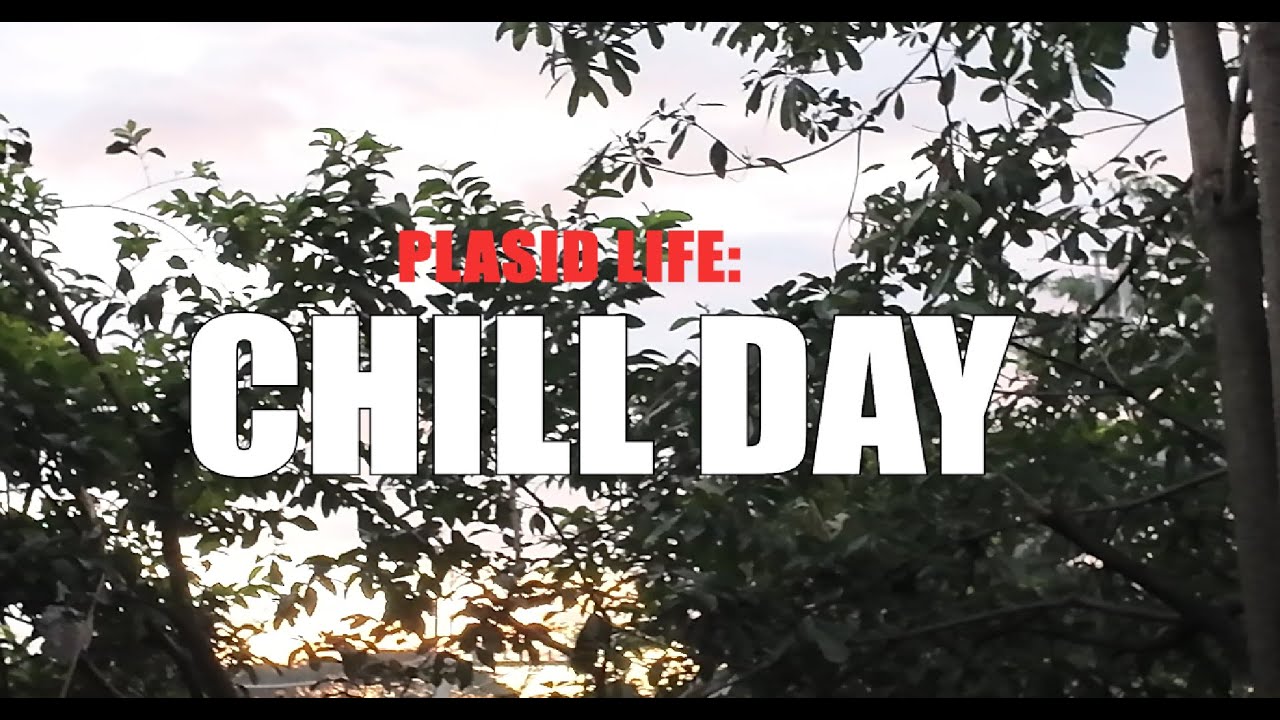 PLASID LIFE : CHILL DAY
