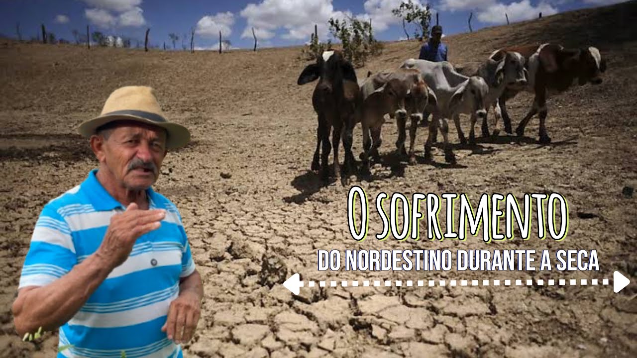 O trabalho pesado do nordestino na época da seca