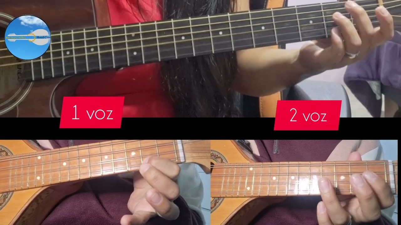 Tu eres todo para mi | Mandolina | guitarra