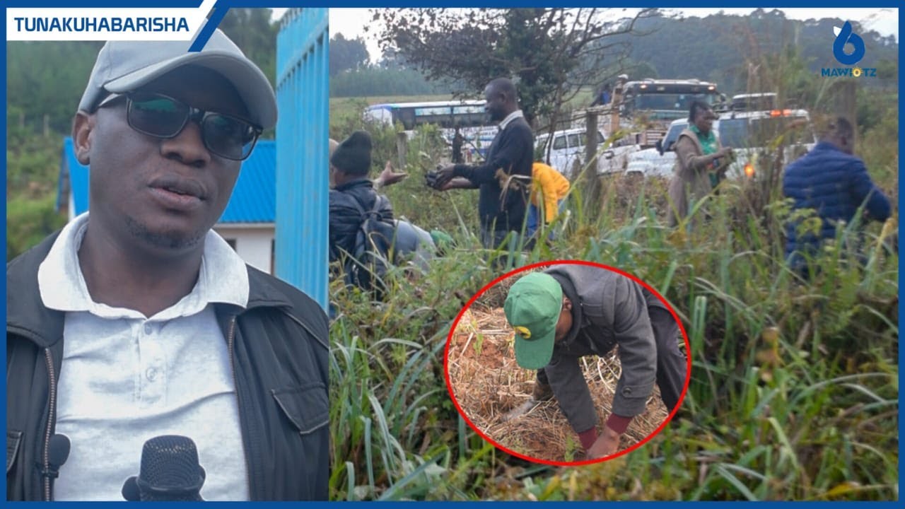 Wadau Waungana Na NJUWASA Kupanda Miti Kwenye Vyanzo Vya Maji Njombe