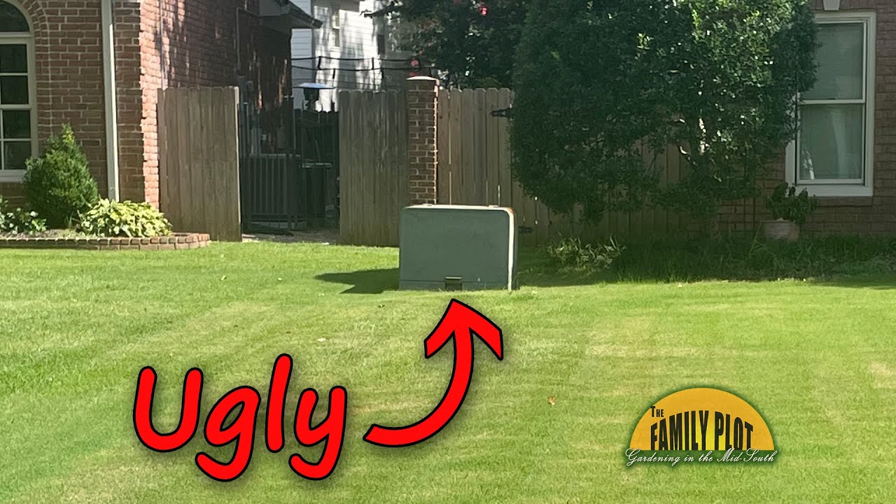 How can we hide this utility box in our front yard? It’s ugly!