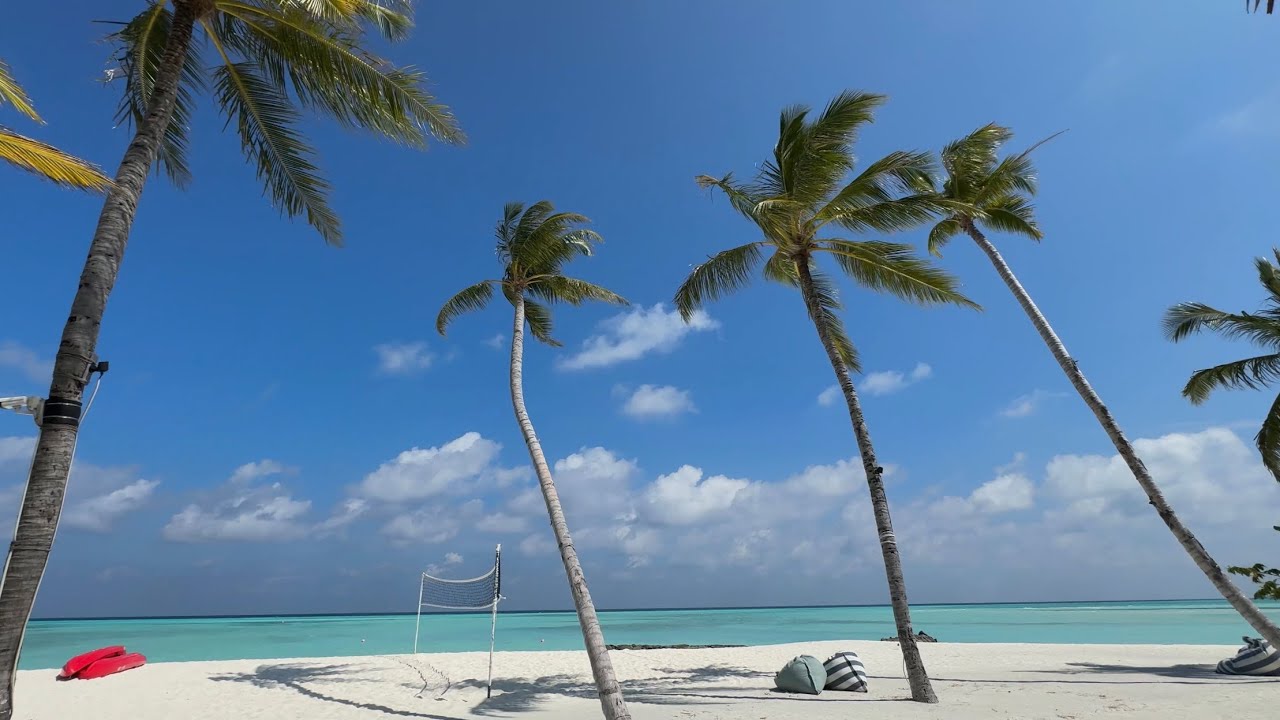 Barcelò Whale Lagoon Maldives - room and resort tour