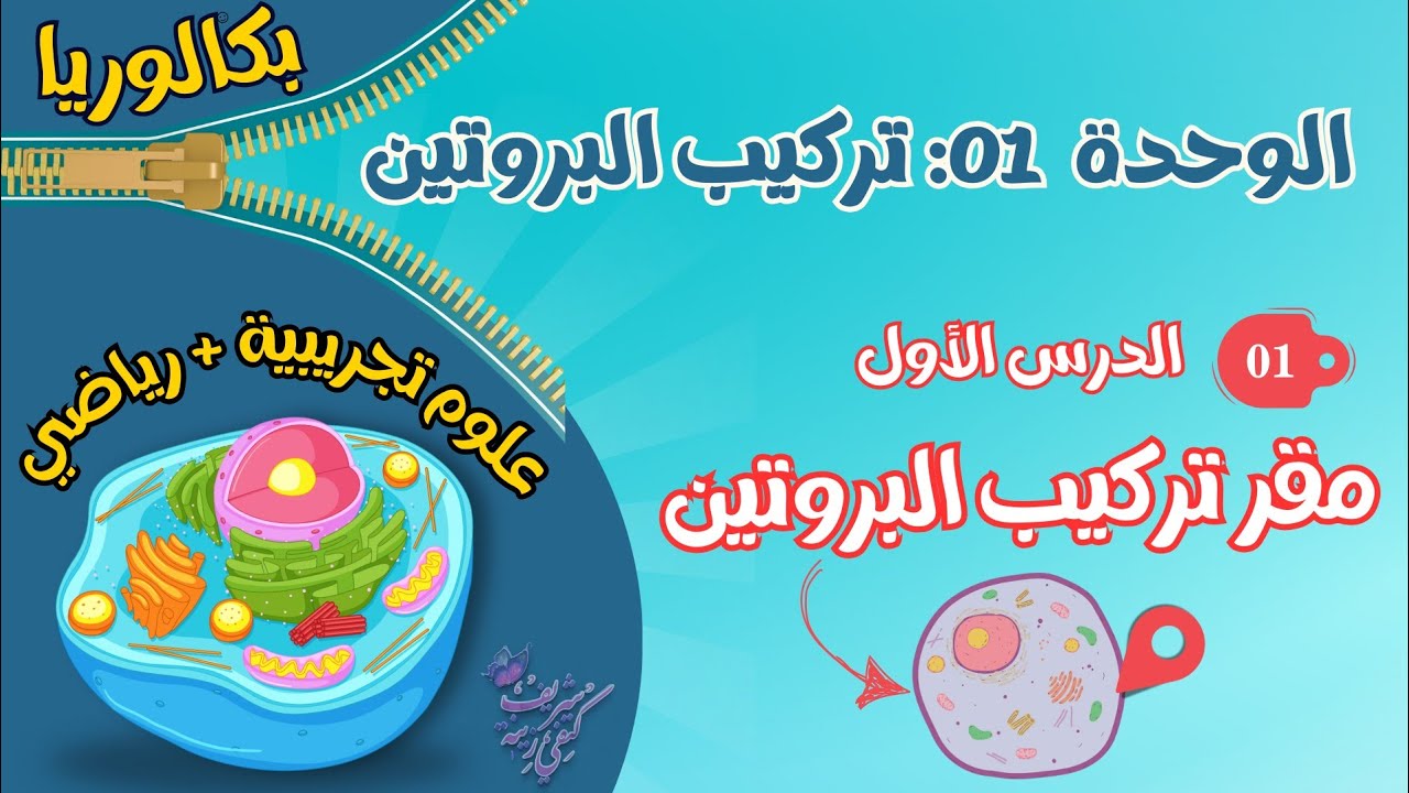 على بركة الله اول درس من برنامج البكالوريا في العلوم| مقر تركيب البروتين | BAC2025