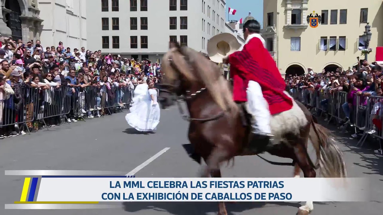 Presentación de los caballos de paso | 26 de julio