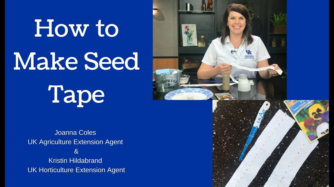 How to Make Seed Tape