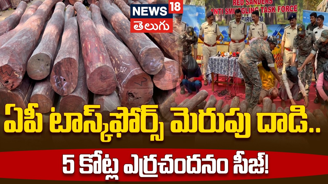 Red Sandalwood Seized | కర్ణాటకలో 5 కోట్ల ఎర్రచందనం పట్టివేత! ఏపీ టాస్క్‌ఫోర్స్ మెరుపు దాడి | N18V