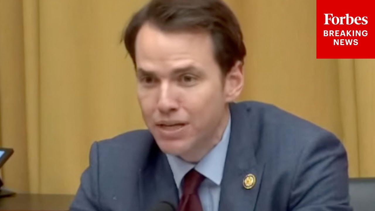 Kevin Kiley Questions Witness About Where He Thinks Criminal And Civil Liabilities Should Diverge