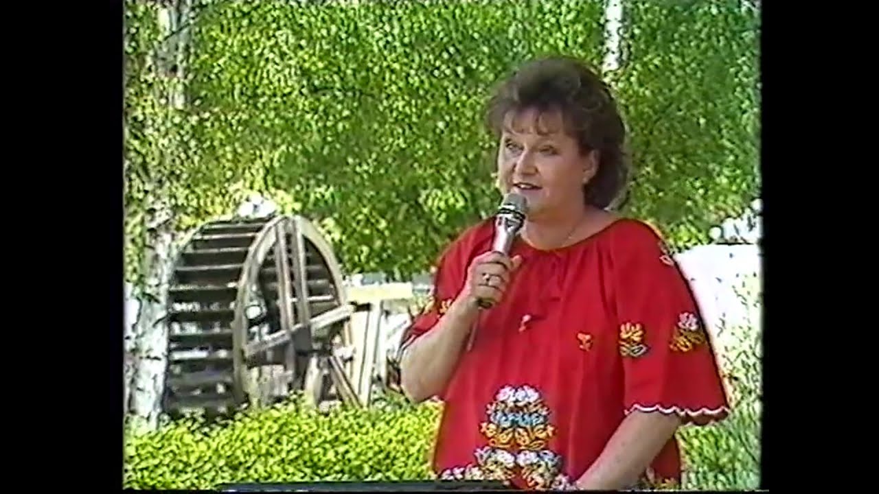Ronnie Hartley, Anna-Lena Löfgren, Liseberg 1987