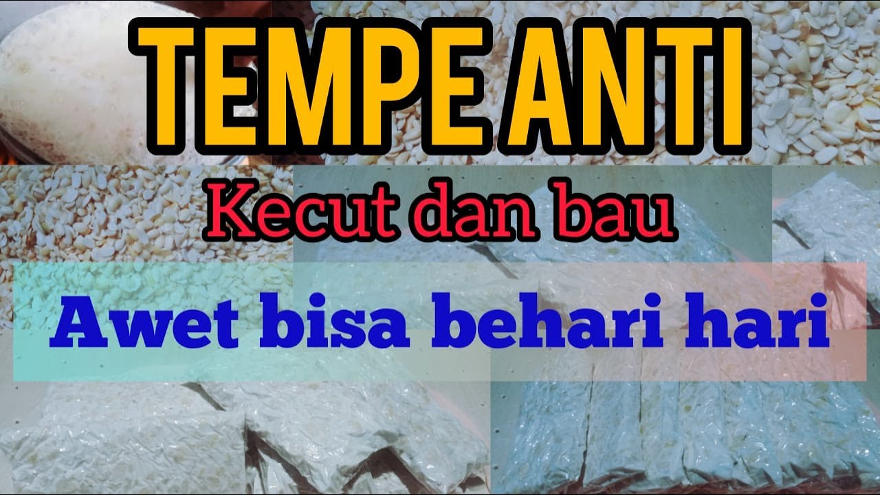 Pemula wajib tonton cara membuat tempe anti kecut pahit dan bau dan bisa awet sampai berhari hari
