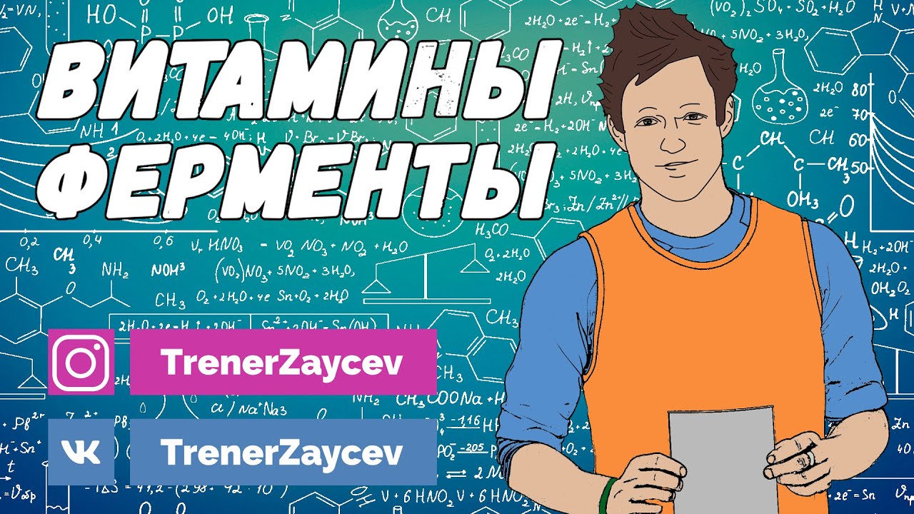 06. Витамины, ферменты
