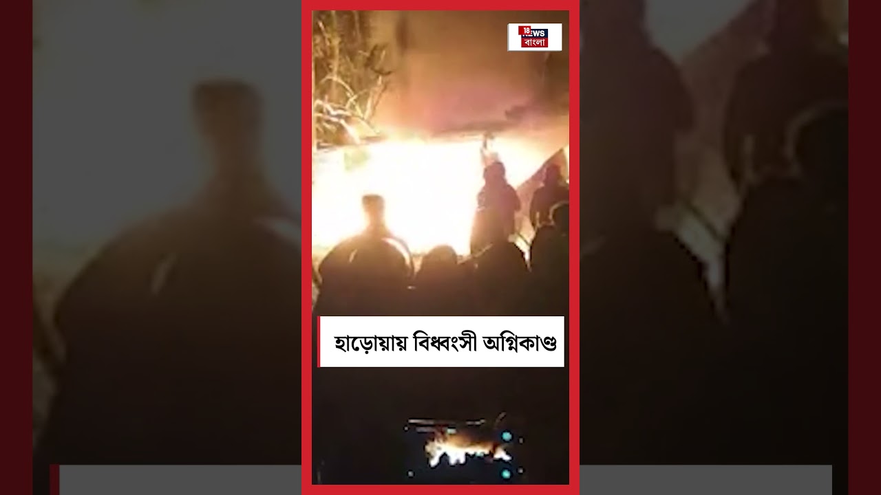 Haroa য় বিধ্বংসী অগ্নিকাণ্ড #shorts