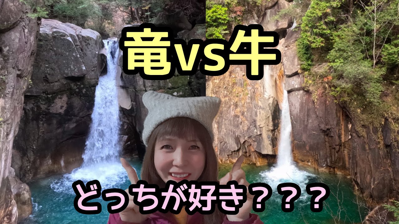 【神秘の滝色】紺碧の夕森ブルーvs翠玉の柿其グリーン