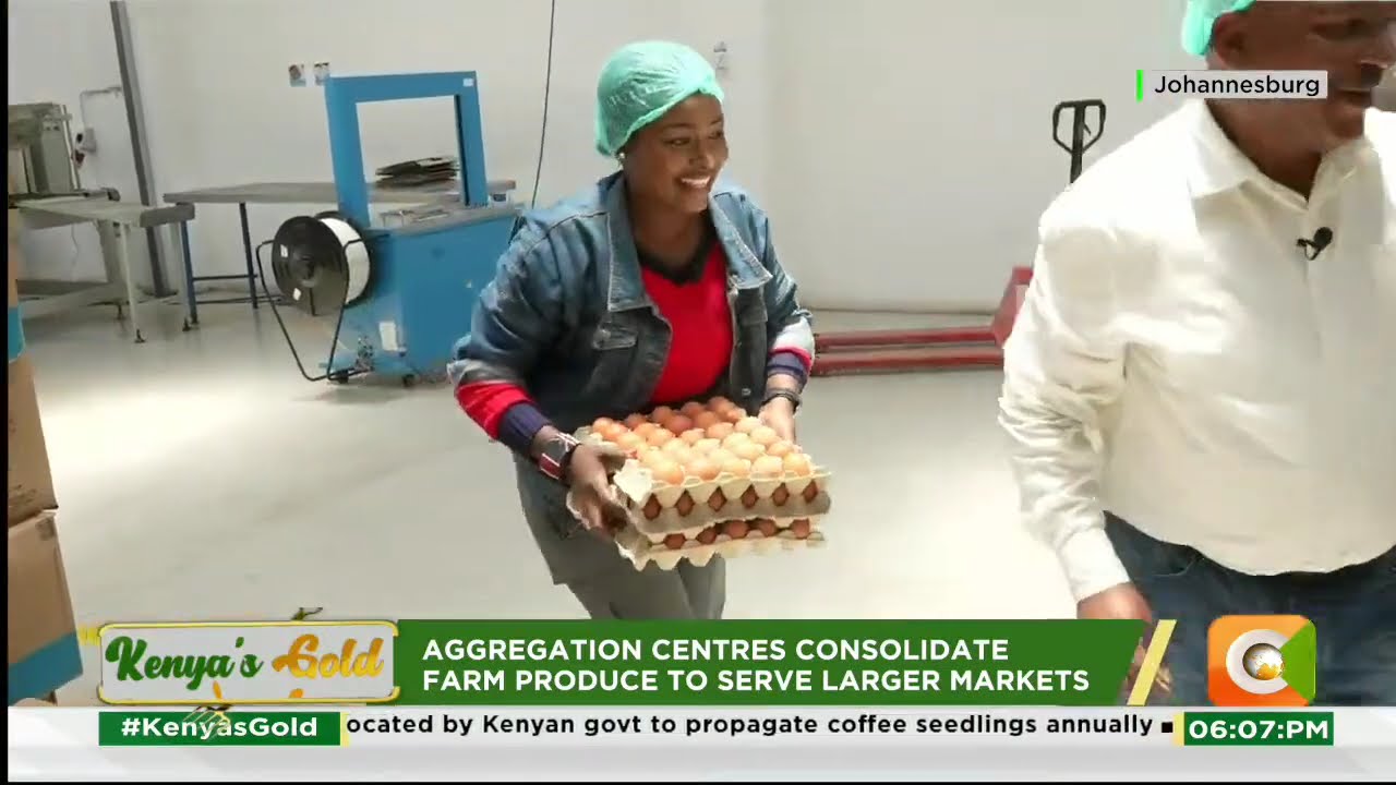 | KENYA'S GOLD | Agri-Tech in South Africa [Part 1]