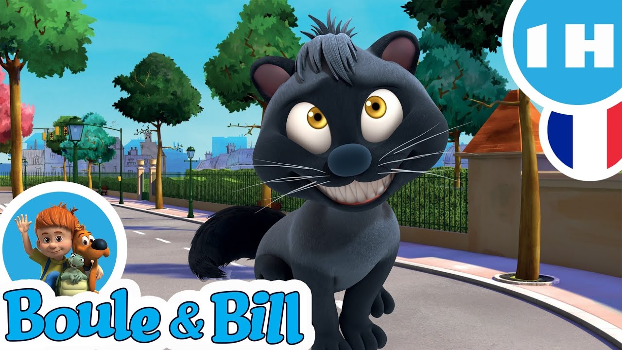 😼 Caporal fait des bêtises ! 😅