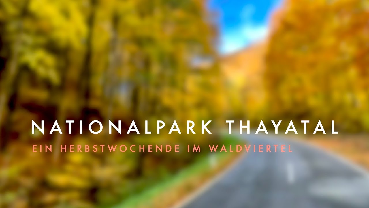 Nationalpark Thayatal &ndash; Ein Wochenende im Waldviertel | Hardegg & Kaja entdecken