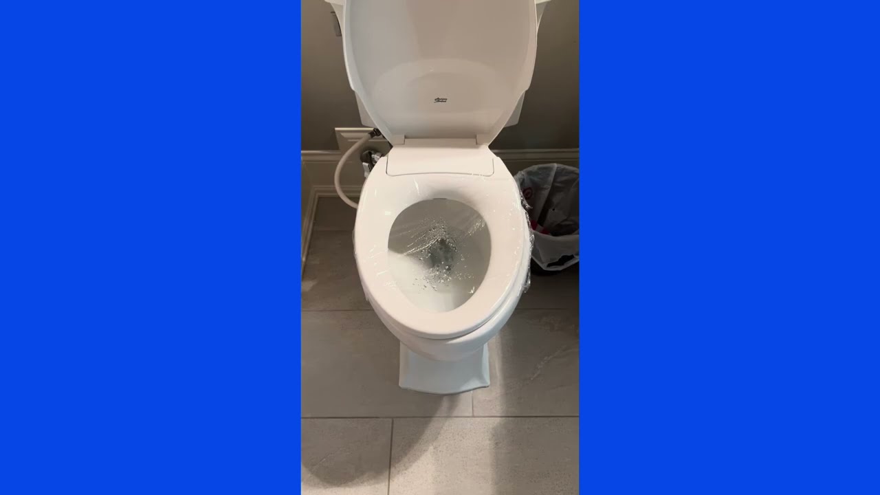 Affordable Bidet Option? American Standard Seat Review 
