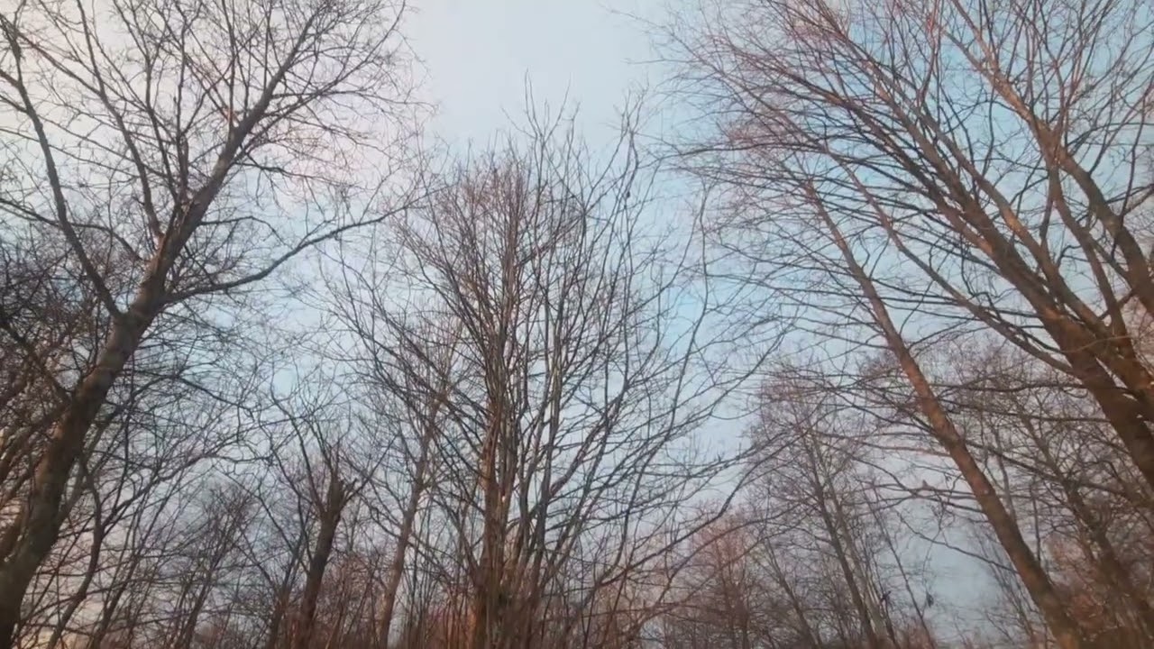 На берегу зимней Ладоги.