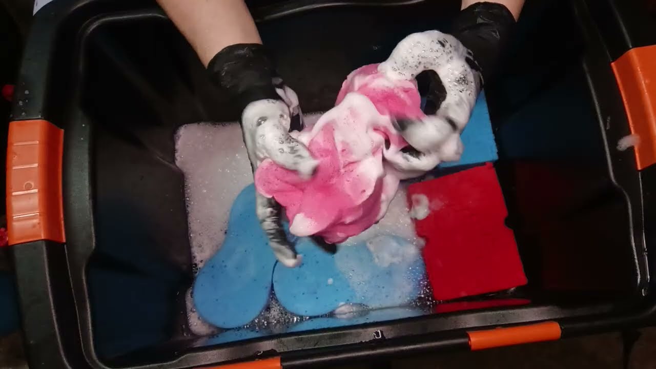 🧽 ASMR | MY BIGGEST SPONGES! So Much Foam Everywhere 😱