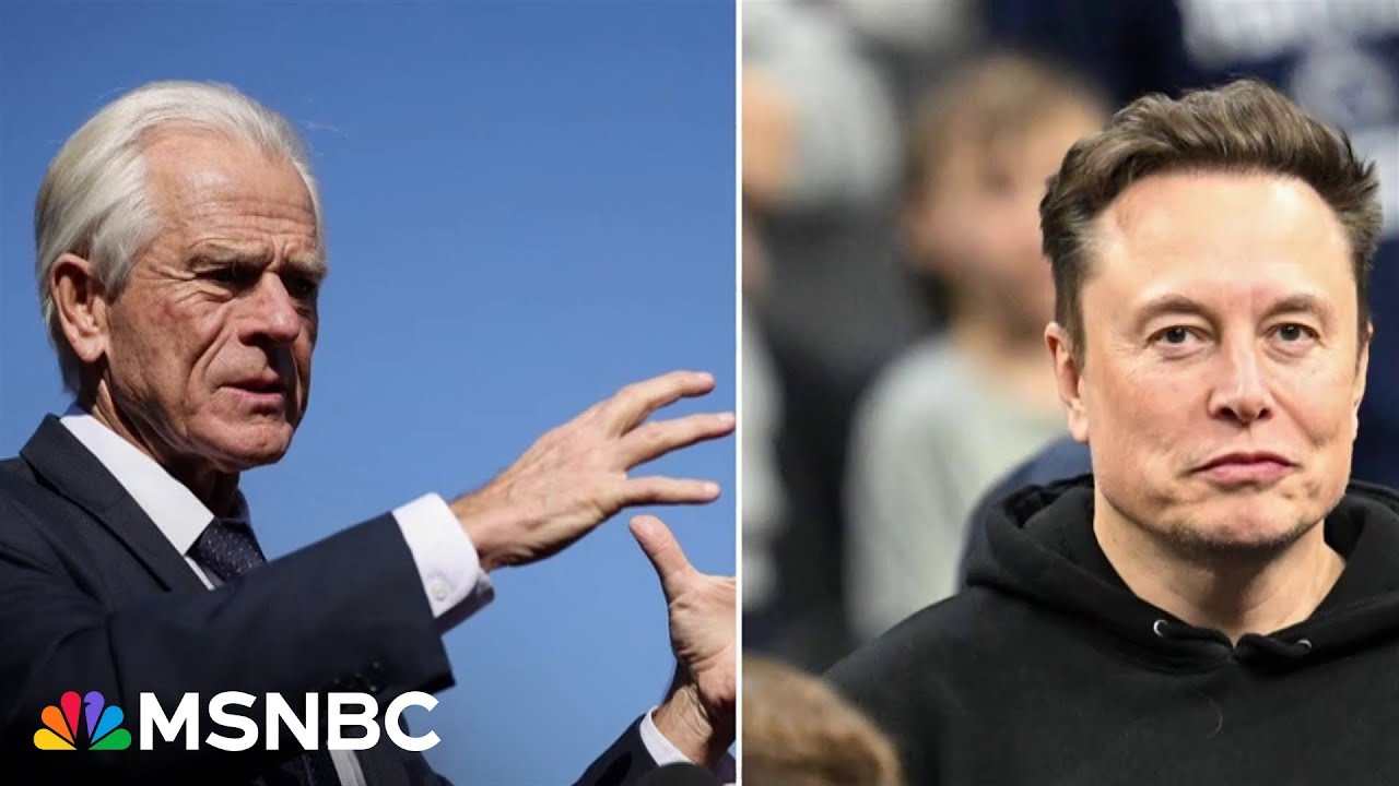 Elon Musk and Peter Navarro fight as Trump's policies continue to tank stock market 