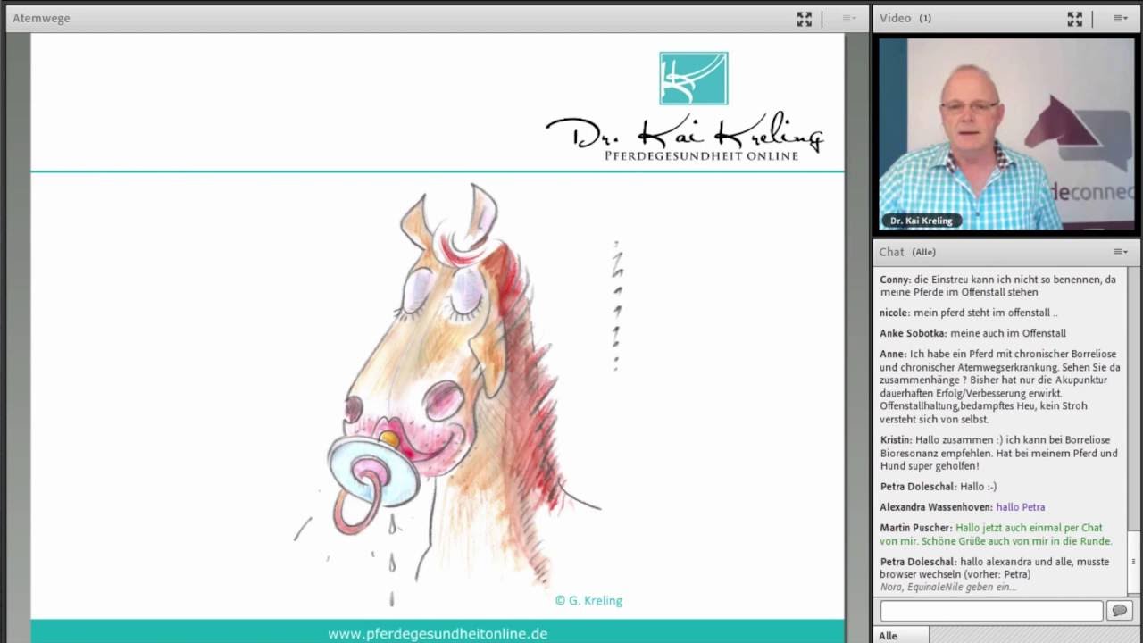 Webinar Aufzeichnung 
