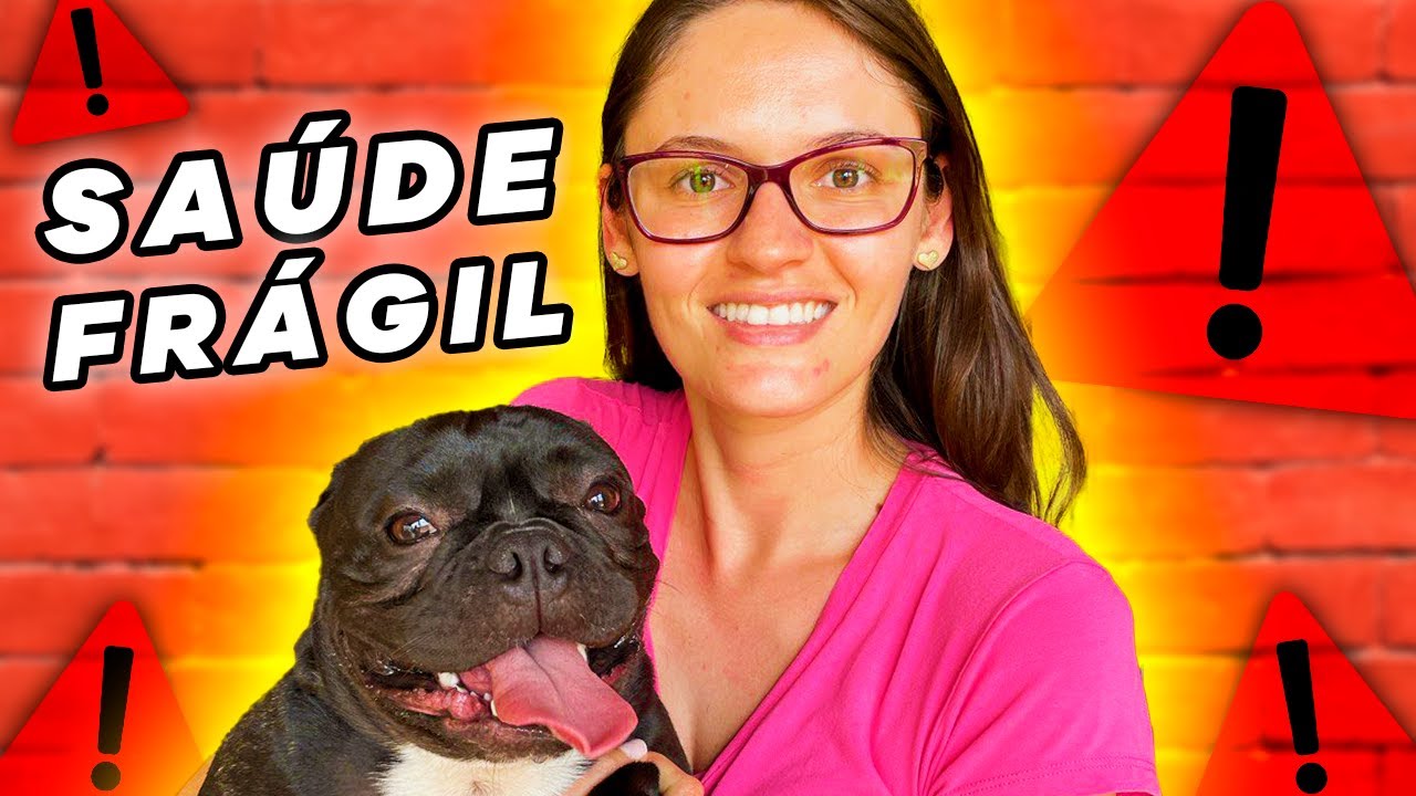 5 Raças de CACHORRO que MAIS ficam DOENTES