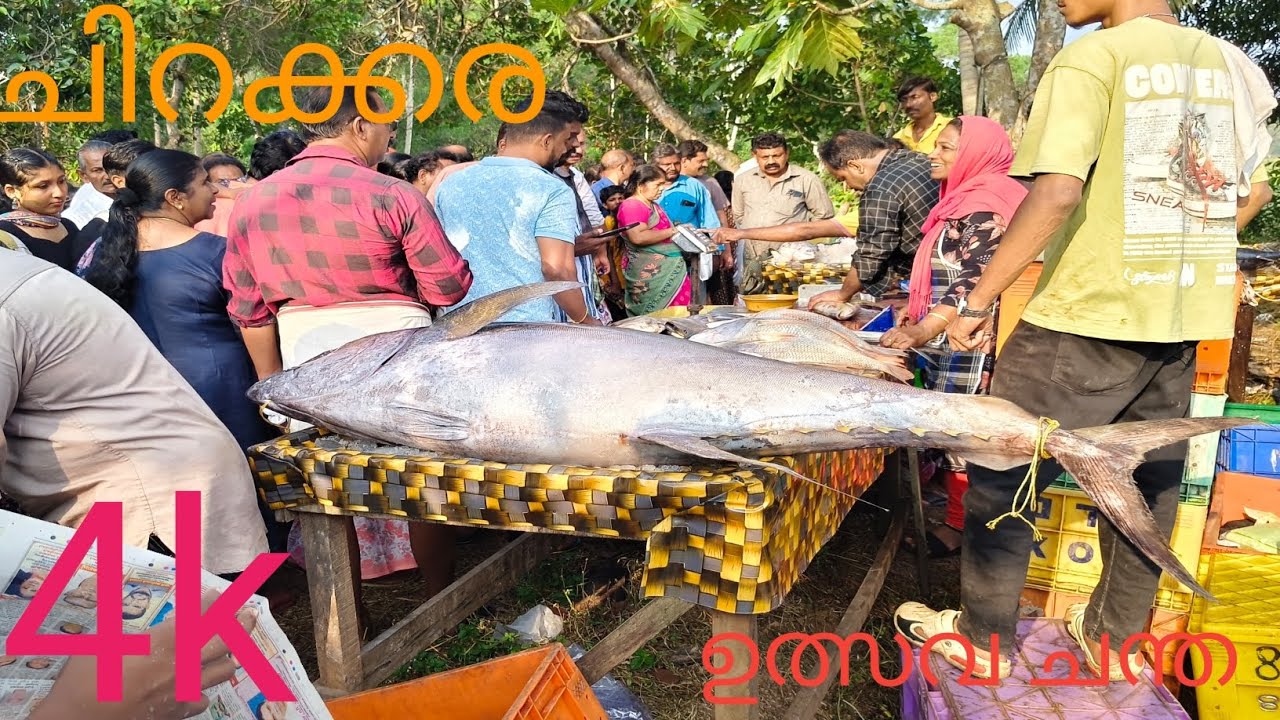 ഉത്സവ ചന്ത ചിറക്കര🥰#fish #festival 