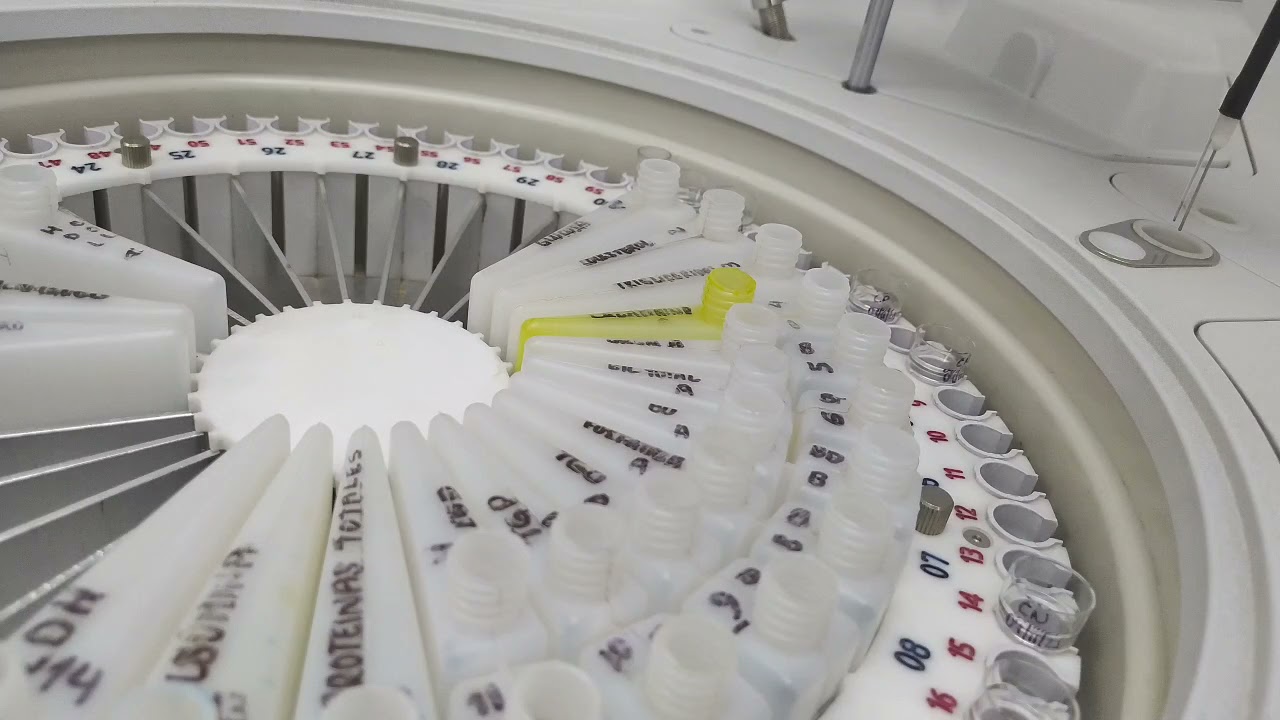 ANALIZADOR DE BIOQUIMICA AUTOMATIZADO DICONEX MODELO INCA POR LABTECBIO