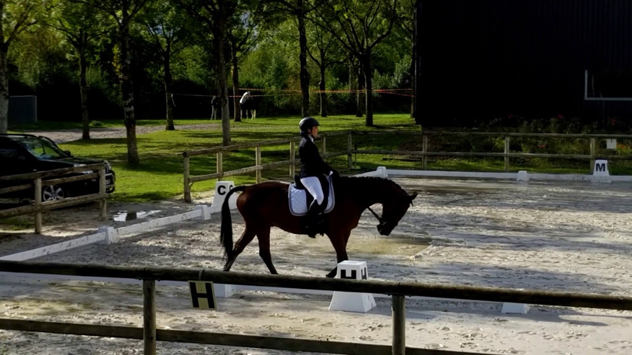 Reprise dressage Amateur 2 Imposee A Niort