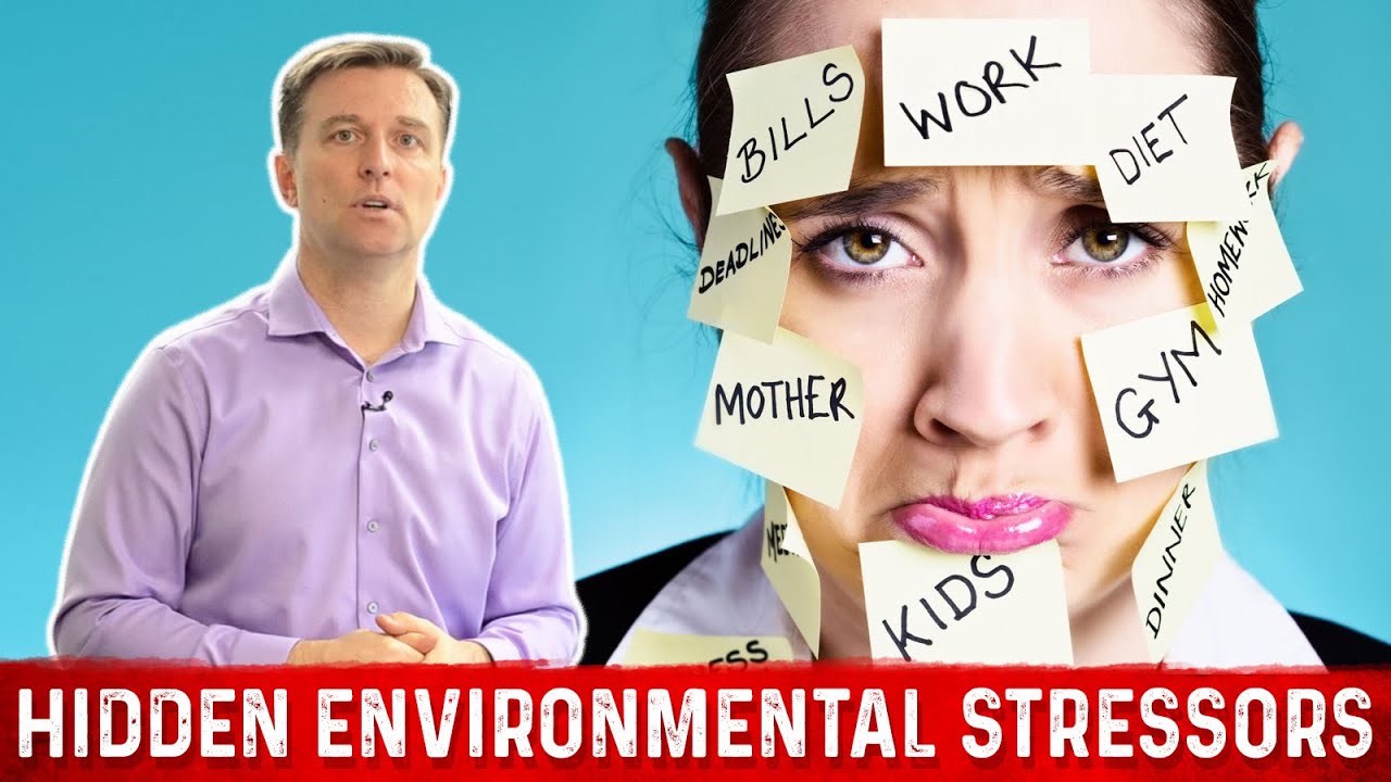 Hidden Environmental Stressors &ndash; Dr. Berg
