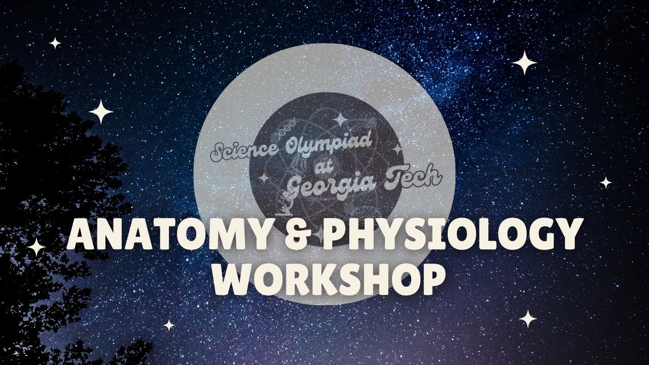 Anatomy & Physiology Div. B/C Workshop | SciOly@GT 2024 Event Workshop Series