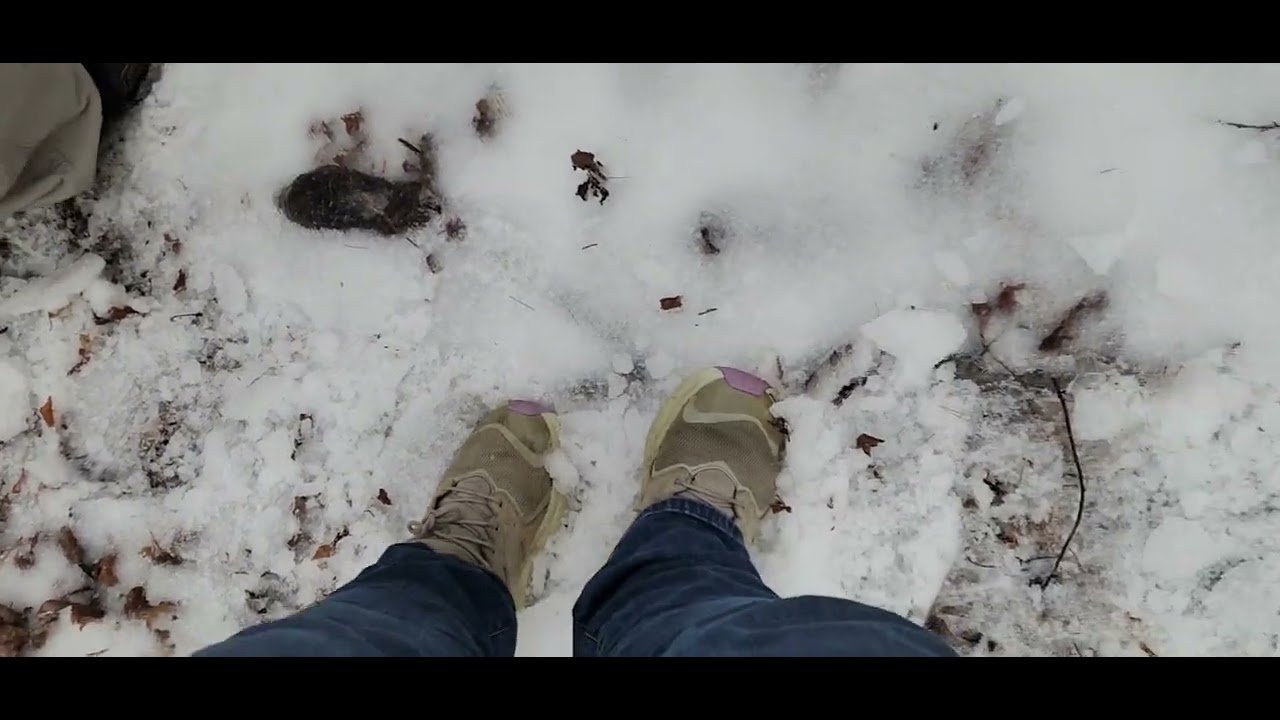 Random Waterfall Snowstorm footage #waterfall #snowfun #snowstorm #winter #ice 
