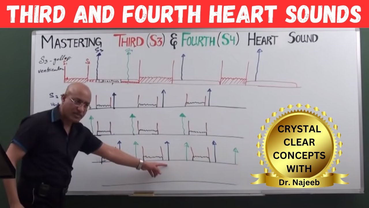 Mastering S3 and S4 | Learn Third and Fourth Heart Sounds🫀