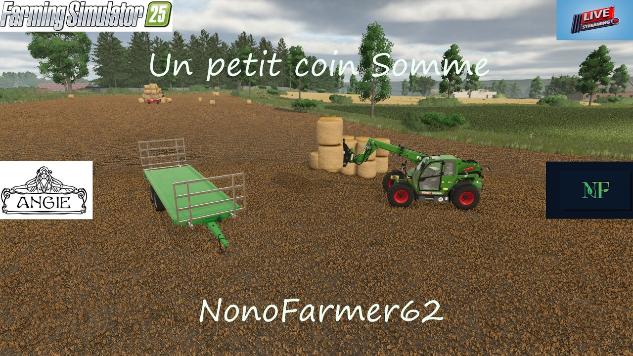 FS25 : un petit coin de somme on continue les champ et les animaux venez nombreux