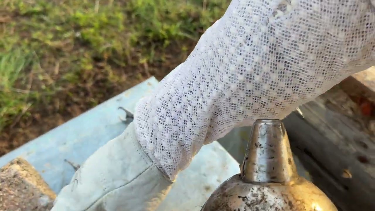 Iernat neîmpachetat si fără turtă - câte rame cu puiet are în 04 martie 2026? 