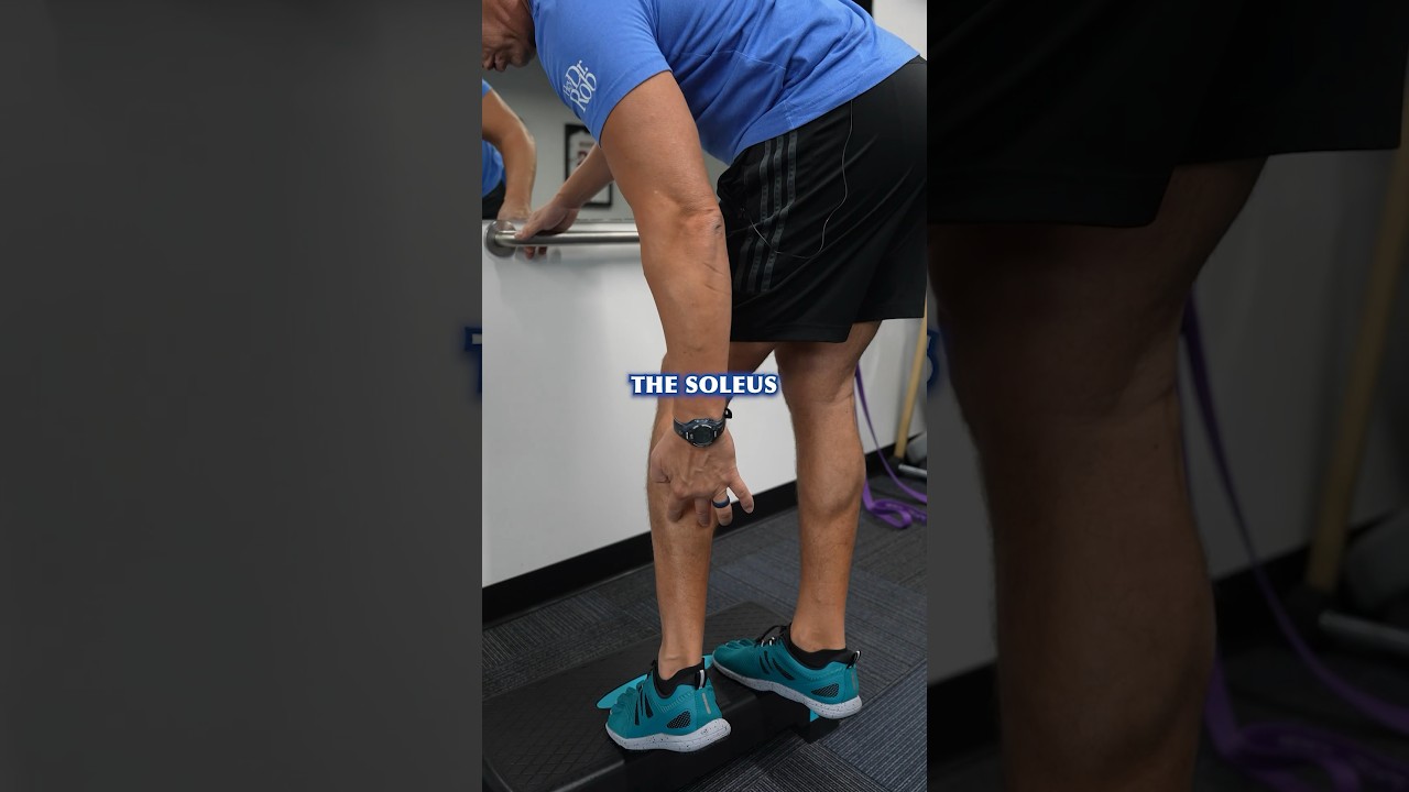 Do not neglect the Soleus Muscle ‼️#calfraises #soleus