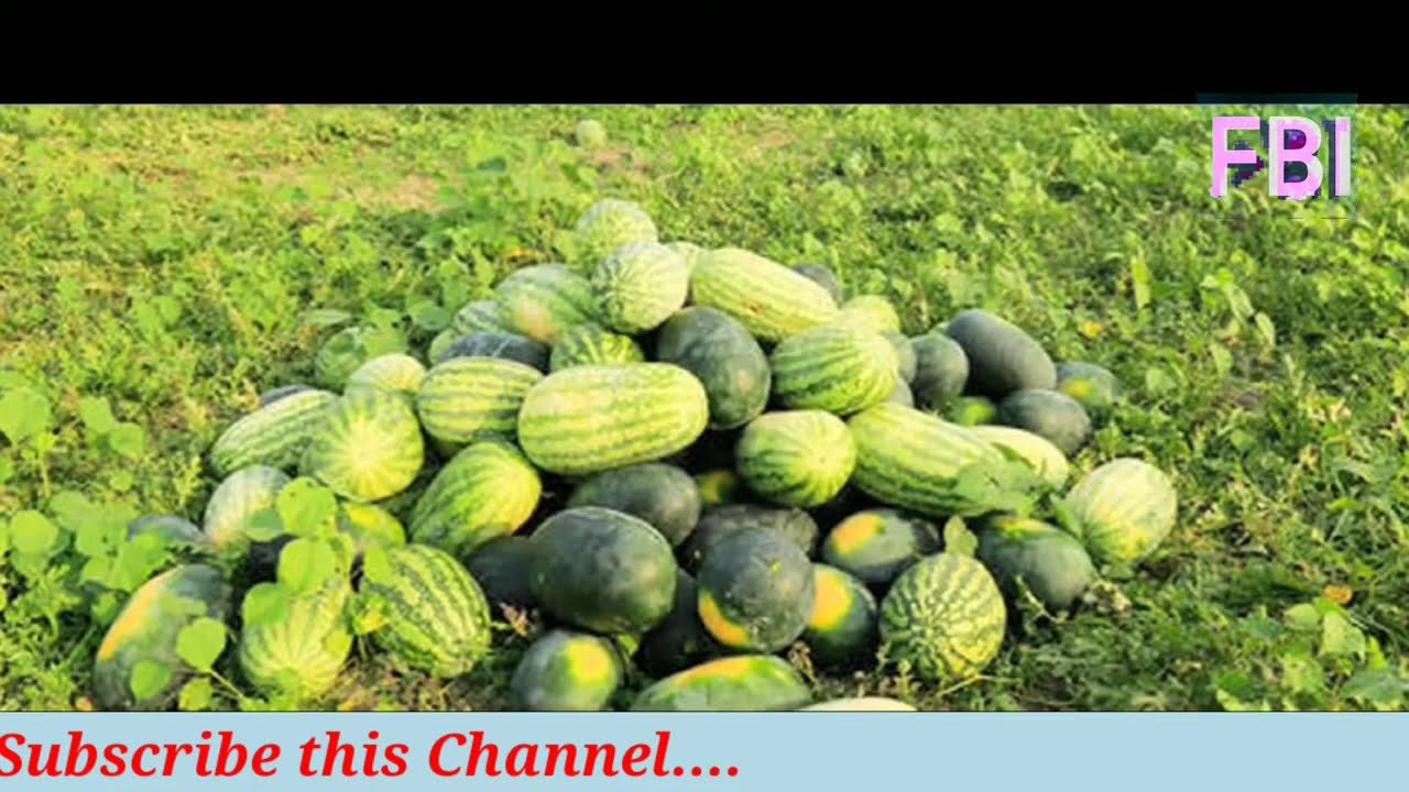 পটুয়াখালীর রাঙাবালী,অপরুপ সৌন্দর্যের লীলাভূমি।।Rangabali  Upazilla।।
