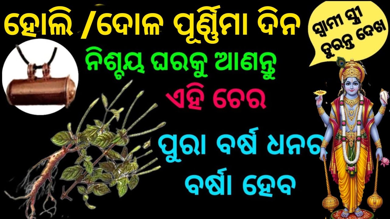ହୋଲି /ଦୋଳ ପୂର୍ଣ୍ଣିମା ଦିନ ଘରକୁ ନେଇ ଆସନ୍ତୁ ଏହି ଚେର/holi 2026/dola purnima 2026