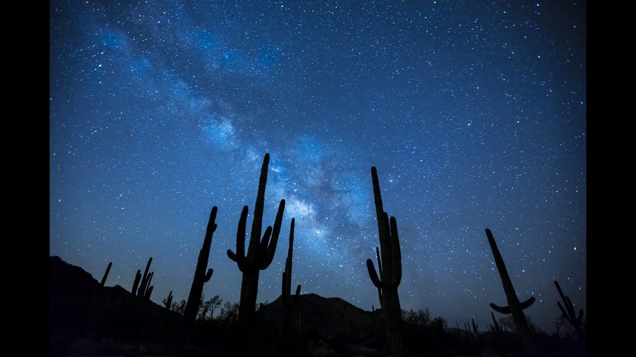 Sounds of the Desert | Night Time Desert Ambience | Sleep & Relax