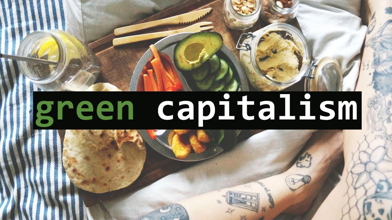 Sustainable Companies Are Ruining Sustainability // the problem with capitalism