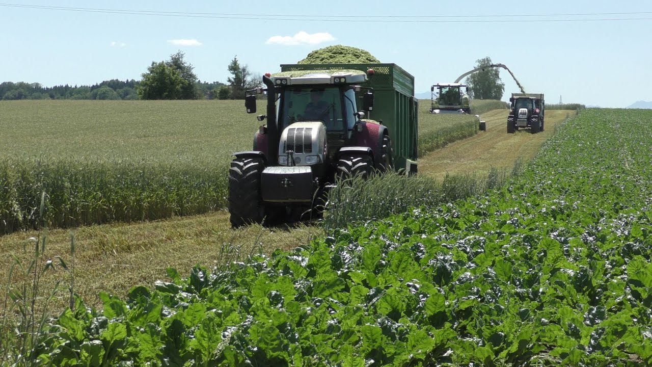 GPS Ernte 2020 | Häckseln Claas Jaguar 950 | Steyr Power | Zwischenfrucht Häckseln | LU Deutschbauer