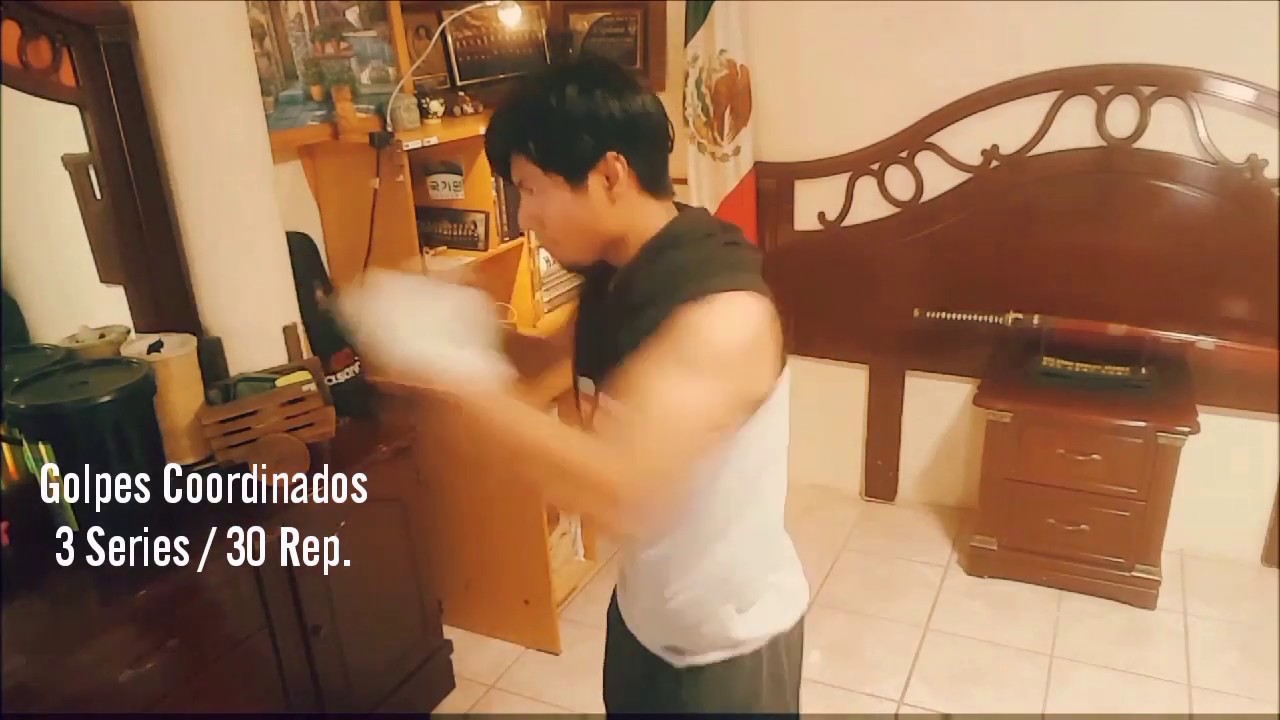 HAPKIDO ENTRENAMIENTO EN CASA