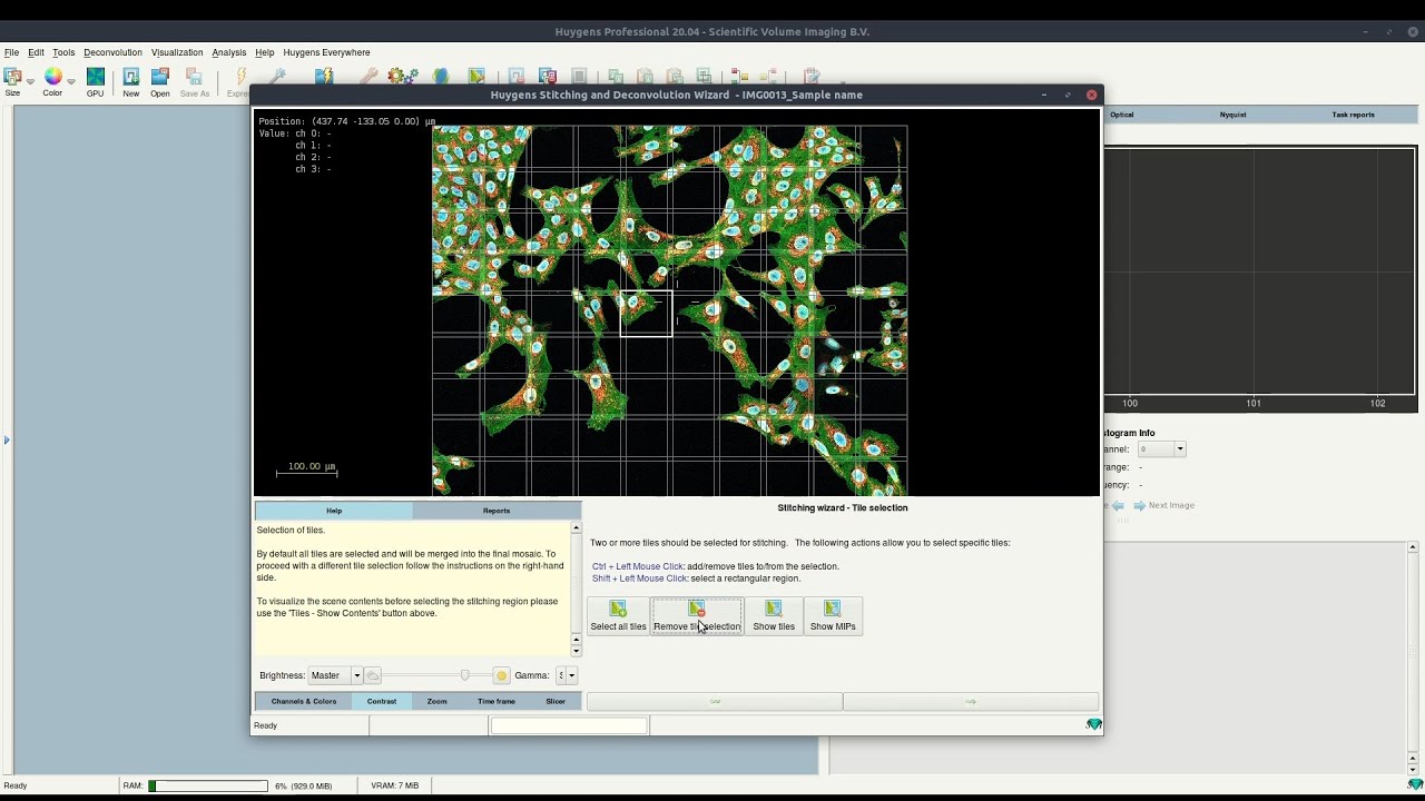 How to tile-stitch and deconvolve large field-of-view microscopy images with Huygens Software