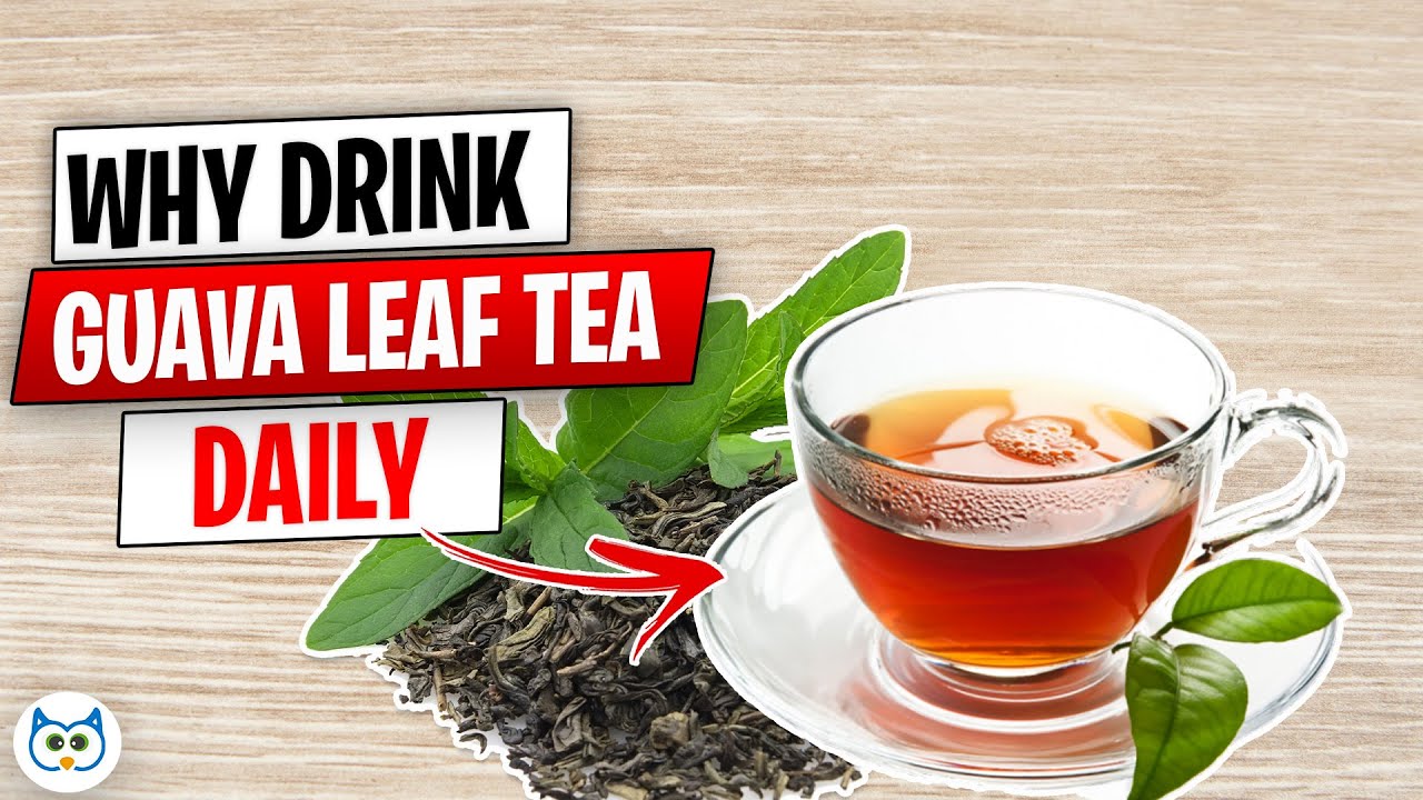 12 Amazing Benefits of Guava Leaf Tea You Are Unaware of